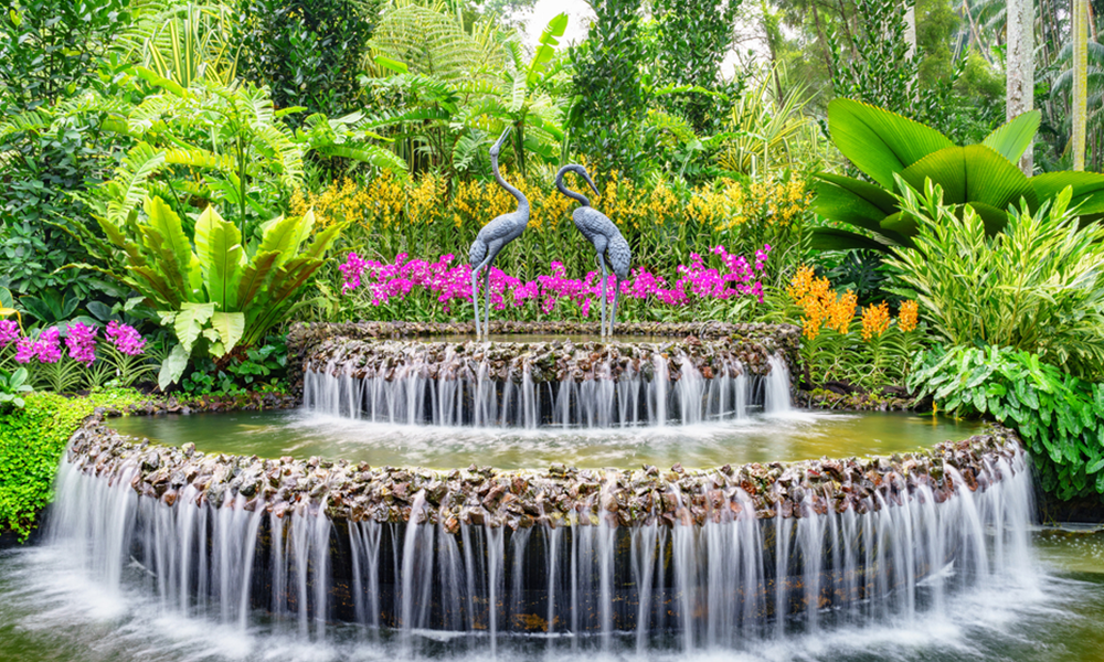 All You Need To Know About Biological Garden